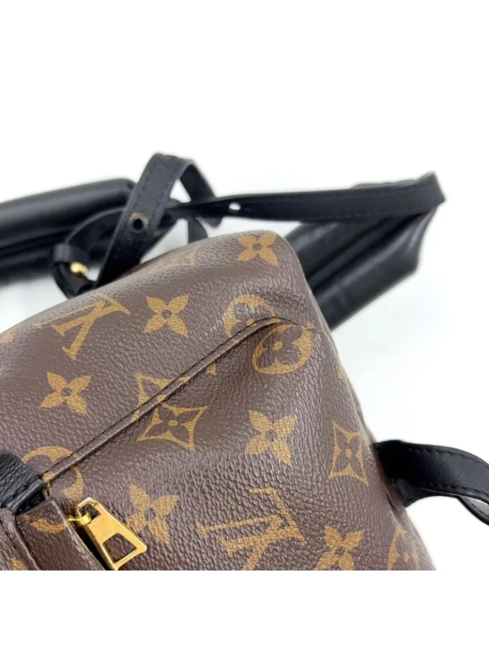 Louis Vuitton Palm Springs PM Monogram Leather